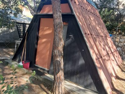 20260405_102029