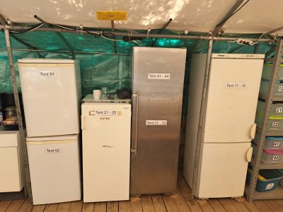 kitchen - fridges