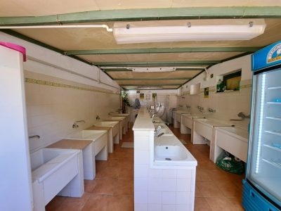 kitchen - washing disches
